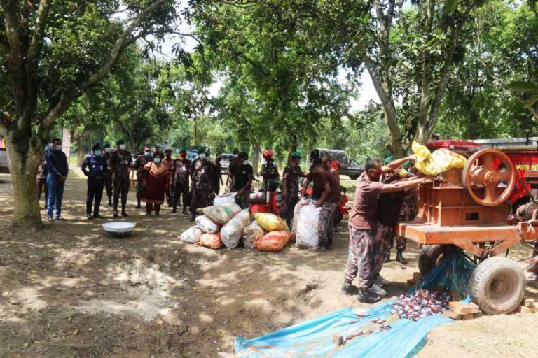 চুয়াডাঙ্গায় বিজিবির অভিযানে উদ্ধার হওয়া প্রায় ১ কোটি ৩১ লাখ টাকার মাদকদ্রব্য ধ্বংস