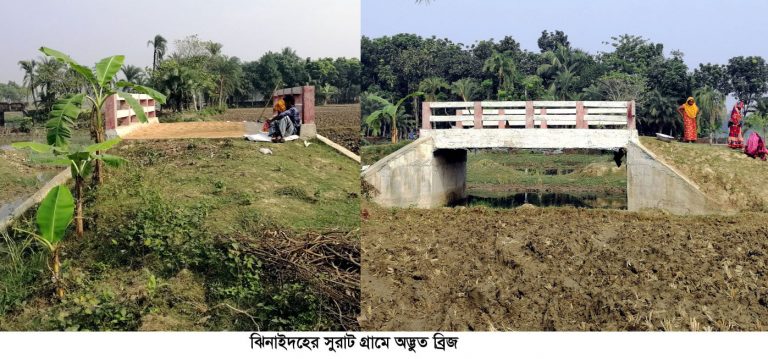 ঝিনাইদহে অদ্ভুত ব্রিজ : নেই রাস্তা, ১৬ লাখ টাকার ব্রিজে শুকানো হচ্ছে ধান!