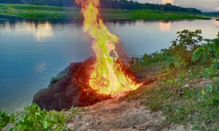 শৈলকুপায় ৩ লাখ টাকার নিষিদ্ধ জাল আগুনে পুড়িয়ে ধ্বংস