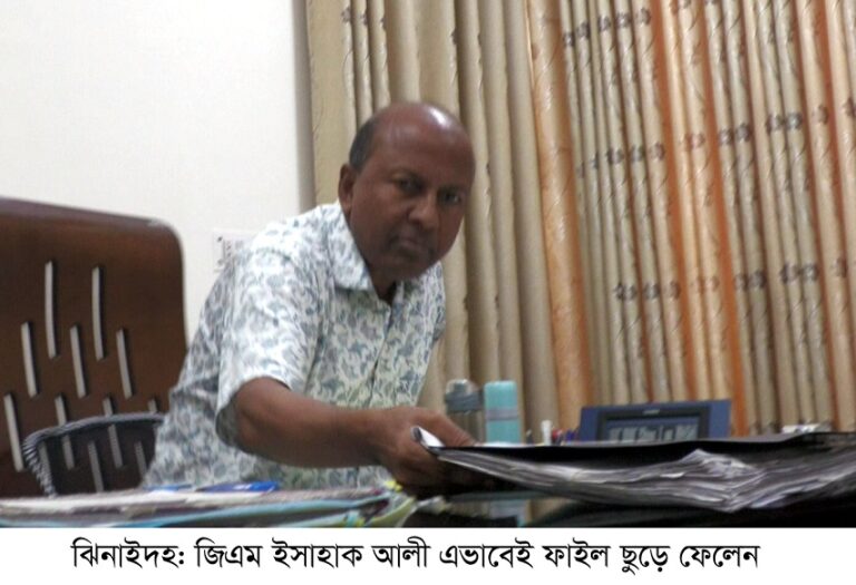 লোডশেডিংয়ের তথ্য নিতে প্রধানমন্ত্রীর কাছে যান : সাংবাদিকরা