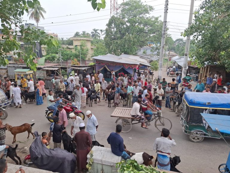 চুয়াডাঙ্গা মাথাভাঙ্গা ব্রিজের ওপর বসেছে অস্থায়ী ছাগলের হাট