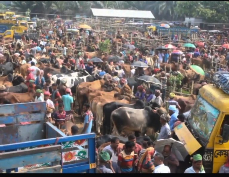 ‘ঈদ সামনে’জমে উঠেছে কোরবানির পশুর হাট