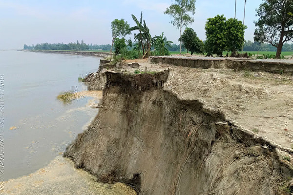 যমুনার ভাঙনে হারিয়ে যাচ্ছে জামালপুরের পাকরুল গ্রাম