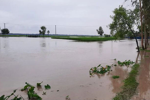 বাড়ছে তিস্তার পানি, যে ৫ জেলায় বন্যার শঙ্কা