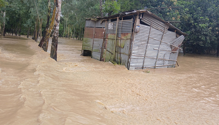 ময়মনসিংহে পাহাড়ি ঢলে পানিবন্দি হাজার হাজার মানুষ