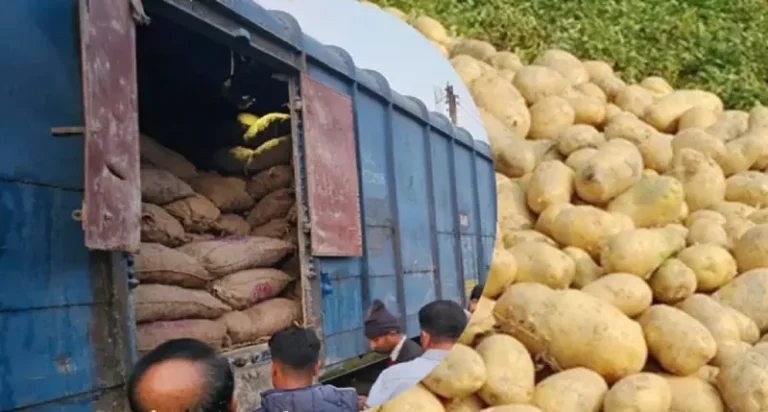 ভারত থেকে আবারও এক হাজার ৯০০ মেট্রিক টন আলু আমদানি