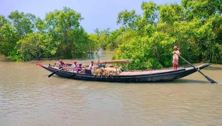 সুন্দরবনে কাঁকড়া ধরার নিষেধাজ্ঞা